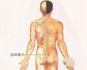 人体穴位：白环俞穴