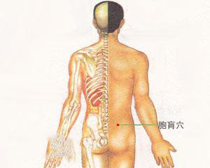 人体穴位：胞肓穴