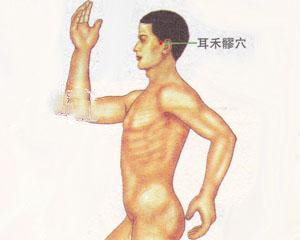 人体穴位：耳和髎穴