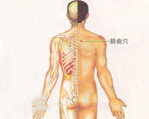 人体穴位：肺俞穴