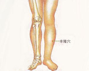 人体穴位：丰隆穴