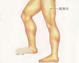 人体穴位：风市穴