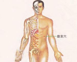 人体穴位：腹哀穴