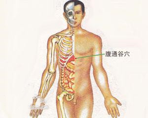 人体穴位：腹通谷穴