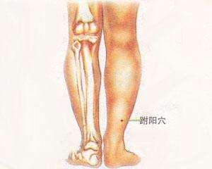 人体穴位：跗阳穴