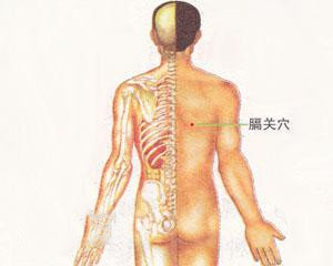 人体穴位：膈关穴
