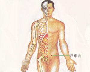 人体穴位：归来穴