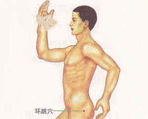 人体穴位：环跳穴