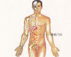 人体穴位：滑肉门穴
