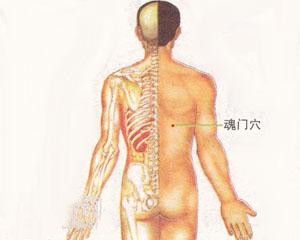 人体穴位：魂门穴