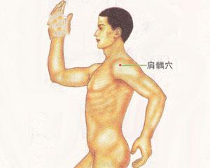 人体穴位：肩髃穴
