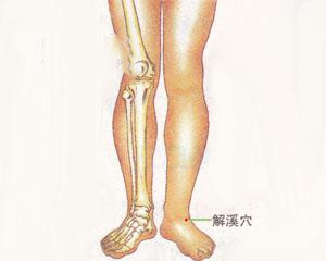 人体穴位：解溪穴
