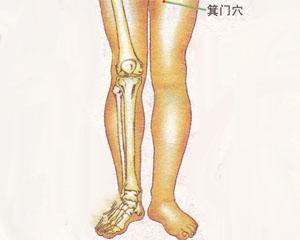 人体穴位：箕门穴