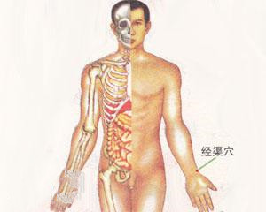 人体穴位：经渠穴