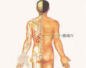 人体穴位：筋缩穴