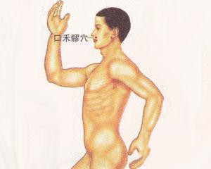 人体穴位：口禾髎穴