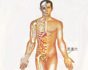 人体穴位：灵道穴