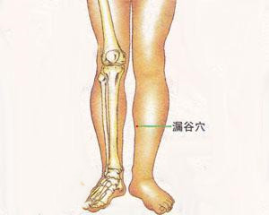 人体穴位：漏谷穴