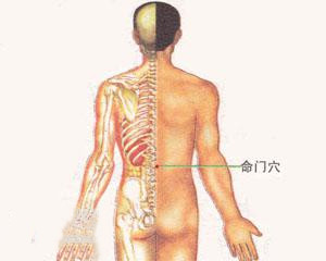 人体穴位：命门穴