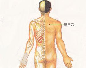 人体穴位：魄户穴