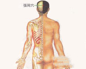 人体穴位：强间穴