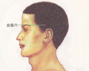 人体穴位：曲鬓穴
