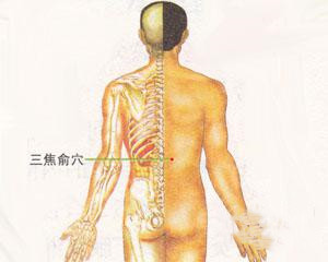 人体穴位：三焦俞穴