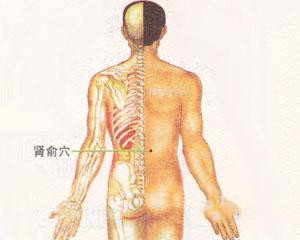 人体穴位：肾俞穴