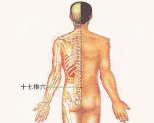 人体穴位：十七椎穴