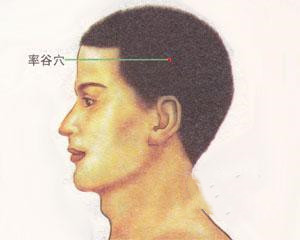 人体穴位：率谷穴