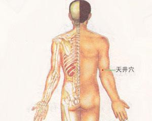 人体穴位：天井穴