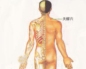 人体穴位：天髎穴