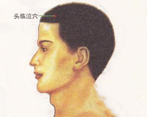 人体穴位：头临泣穴