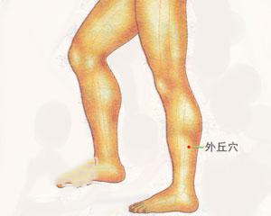 人体穴位：外丘穴
