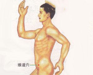 人体穴位：维道穴