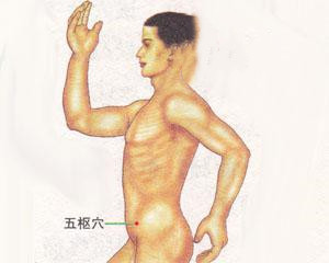 人体穴位：五枢穴