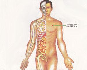 人体穴位：屋翳穴