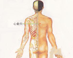人体穴位：心俞穴