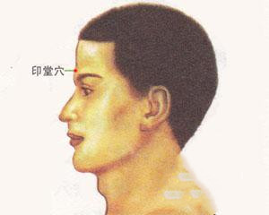 人体穴位：印堂穴