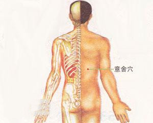 人体穴位：意舍穴