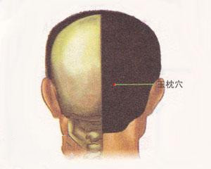 人体穴位：玉枕穴