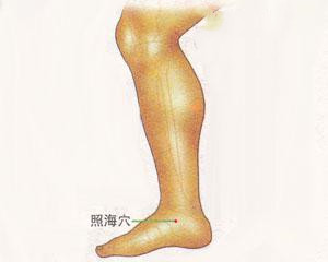 人体穴位：照海穴