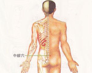 人体穴位：中髎穴