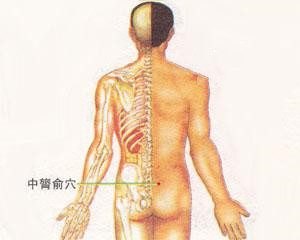 人体穴位：中膂俞穴