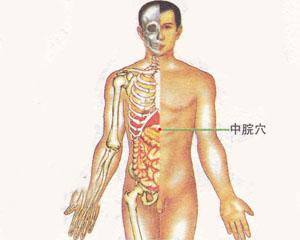 人体穴位：中脘穴