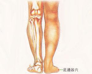 人体穴位：足通谷穴