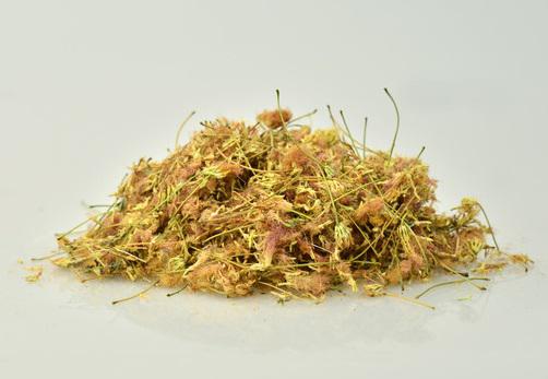 合欢花